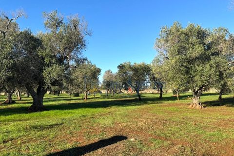 Landejendom i Ostuni, Brindisi, Ostuni - € 90.000 | Ref: 172814 - foto 5